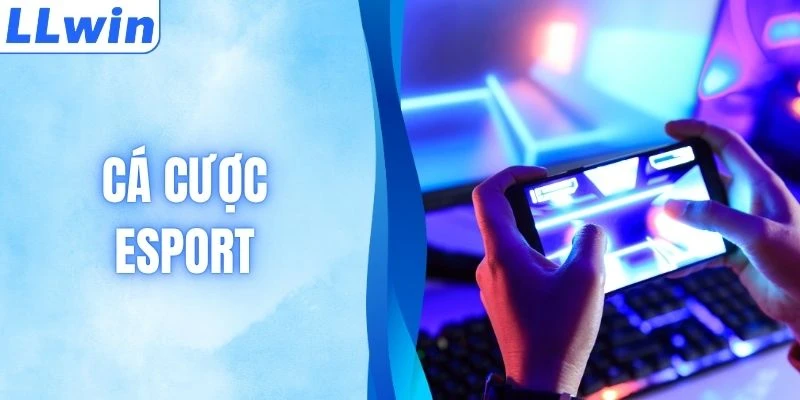 Cá Cược Esport - Xu Hướng Giải Trí Bùng Nổ Hiện Nay
